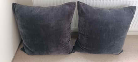 Photo of free Large black square cushions (Lower Walkley S6) #1
