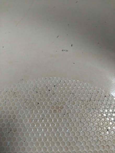 Photo of free Brabantia fry pan (Ingol PR2) #3