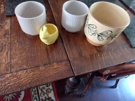 Photo of free Indoor plant pots (Ifield West) #1