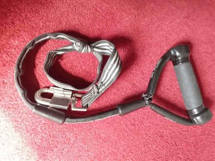 Photo of free dog lead (King's Cross N1) #1