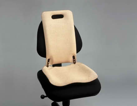 Photo of Backfriend back support (East Barnet, EN4) #1