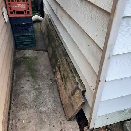 Photo of free two large planks (York Blvd and Queen Hamilton) #1