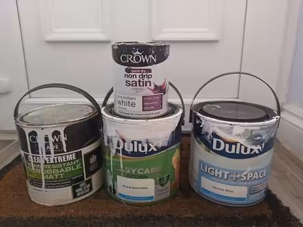 Photo of free White paint (OX3 Wood Farm) #1