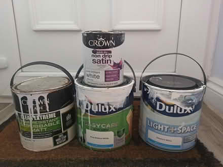 Photo of free White paint (OX3 Wood Farm) #1