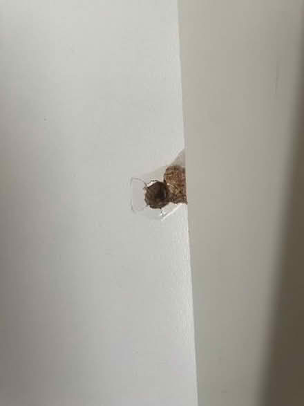 Photo of free Matisse White Captain's Guest Bed With Storage (Erith DA8) #4