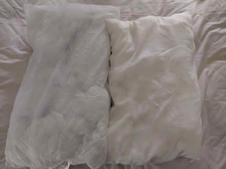 Photo of free Pillows (Frenchay BS16) #1