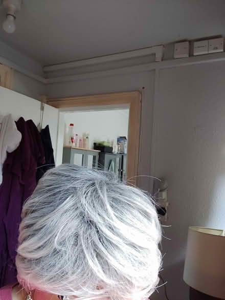 Photo of free Short Wig, salt & Pepper, short (Burbage LE10) #1