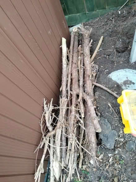 Photo of free Firewood (Sinfin DE24) #1