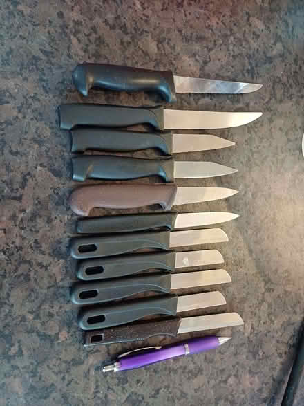 Photo of free Selection of small vegetable knives (Owlthorpe S20) #1