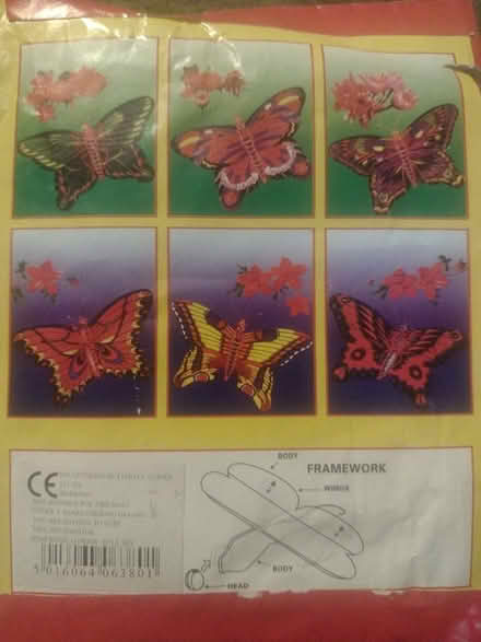 Photo of free Flying insect butterly (Leicester LE3) #2
