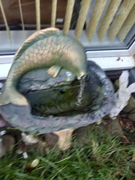 Photo of free Water feature (Loughborough LE11) #1
