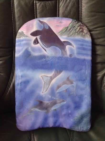 Photo of free Swimming float (Leicester LE3) #1