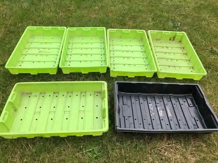 Photo of free x6 seed trays (OX4 Iffley) #1