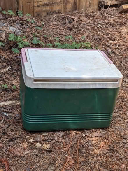 Photo of free Small igloo cooler (McKinleyville) #2