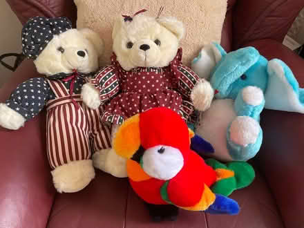 Photo of free Stuffed toys x4, ideal for pets (Oxford, near Cowley Rd. Tescos) #1