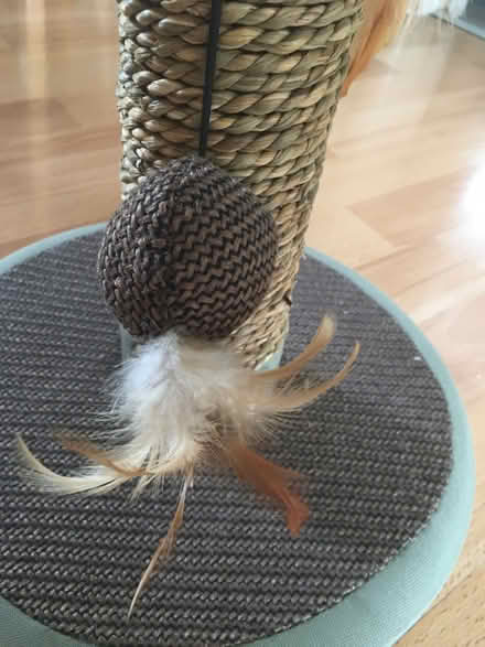 Photo of free Cat scratching post (Sands HP12) #2