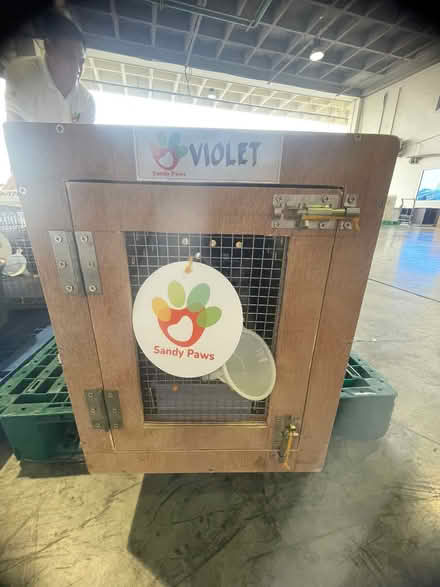 Photo of free Wooden crate (Horndean PO8) #2
