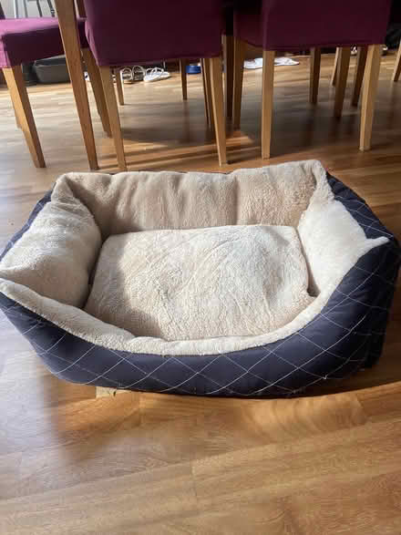 Photo of free Small dog/cat bed (BA1) #1