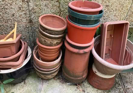 Photo of free Gardening goods (Buxworth SK23) #1