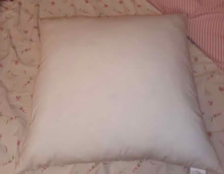 Photo of free Square Feather Cushion Pad (Bruntsfield EH10) #1