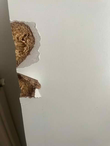 Photo of free Matisse White Captain's Guest Bed With Storage (Erith DA8) #3