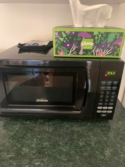 Photo of free Kitchen Items (Porter square) #1