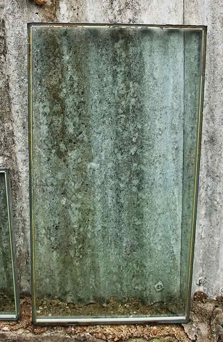 Photo of free glasss (King's Lynn PE30) #1