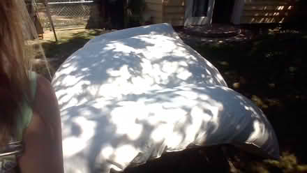 Photo of free Down comforter, CRAFTERS (Ballard 98107) #1