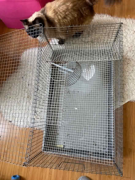 Photo of free Rat / guinea pig cage (Baldock (Baldock (SG7)) #1