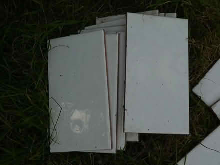 Photo of free White ceramic tiles (Rayleigh SS6) #2