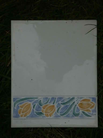 Photo of free Large decorative ceramic wall tiles (Rayleigh SS6) #4