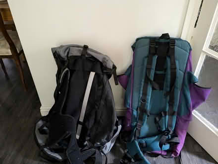 Photo of free 2 large backpacks (LS16) #2