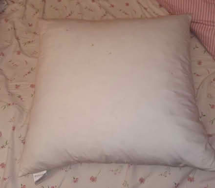 Photo of free Square Feather Cushion Pad (Bruntsfield EH10) #2