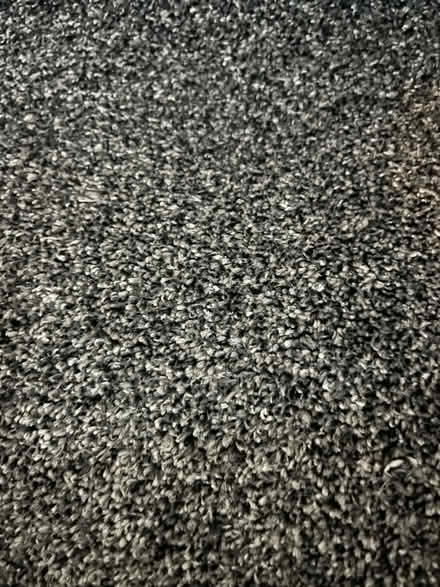 Photo of free Carpet & Underlay - must go today (Burnopfield NE16) #1
