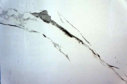 Photo of free Extra Large Tile (Clapton) #2