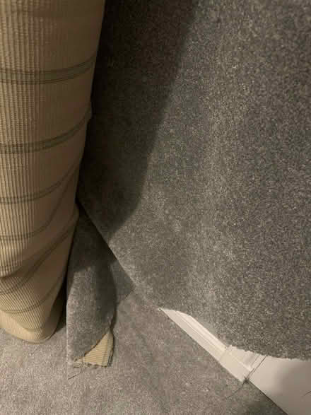 Photo of free Peice of grey carpet (G78) #2