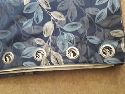 Photo of free Curtains (Branksome Chine BH13) #2