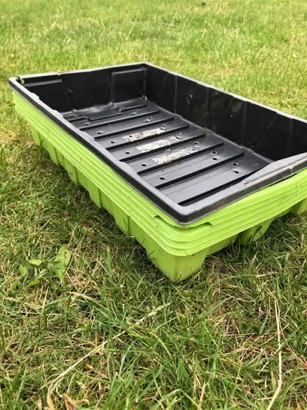 Photo of free x6 seed trays (OX4 Iffley) #2