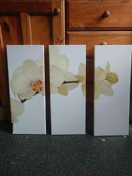 Photo of free Pictures (Ol7) #1