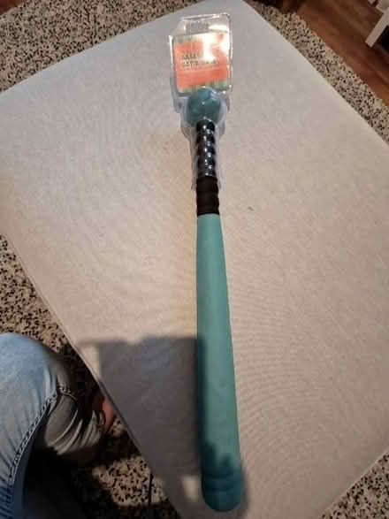 Photo of free Baseball bat and ball NEW (Little Herberts GL53) #1