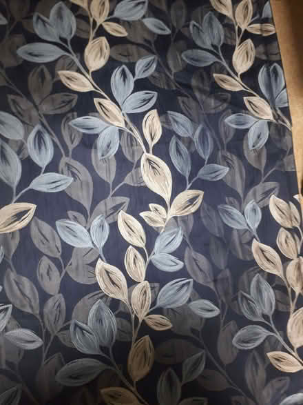 Photo of free Curtains (Branksome Chine BH13) #1