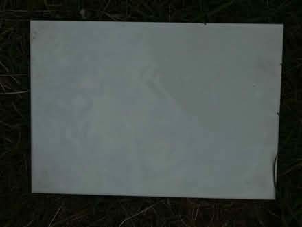 Photo of free Ceramic tiles - terracotta colour (Rayleigh SS6) #3