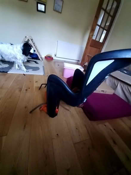 Photo of free Polisport Bilby child bike seat - no bracket (Colinton EH13) #2