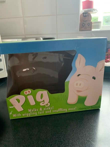 Photo of free Battery operated pig (Littleover Derby DE23) #3