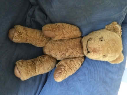 Photo of free Vintage teddy bear for restoration (Brasenose OX11) #1