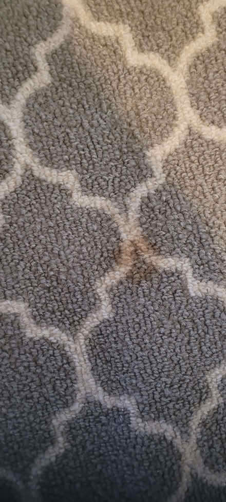 Photo of free Grey rug (Temple Cowley OX4) #3
