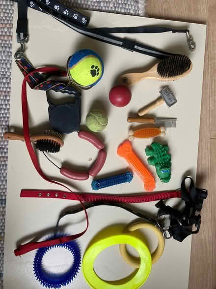 Photo of free Dog toys accessories (Annfield Plain) #1