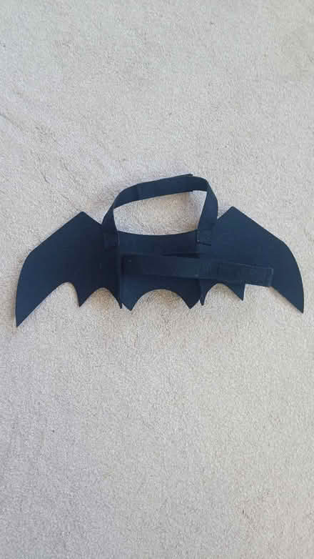 Photo of free Cat bat wings (adjustable) (Littlemore OX4) #3