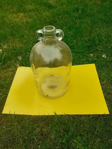 Photo of free Two demijohns (The Camp AL1) #1