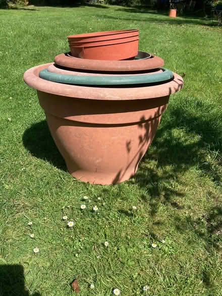Photo of free Plant pots 8 (Ramsden Bellhouse CM11) #1